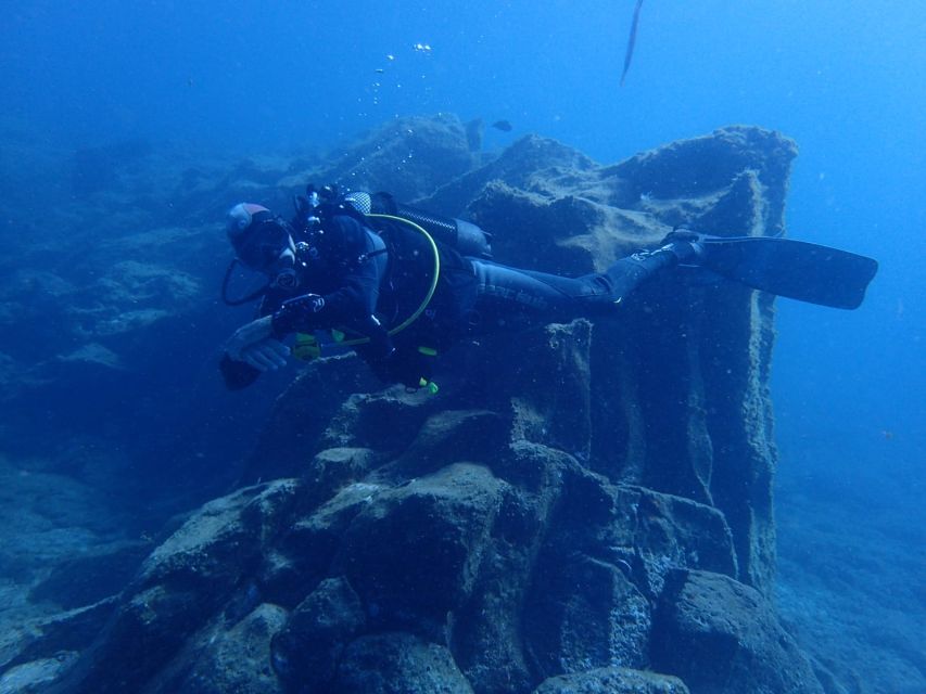 Tenerife : Private Dive for Beginners from a Boat - What the $118 price really includes