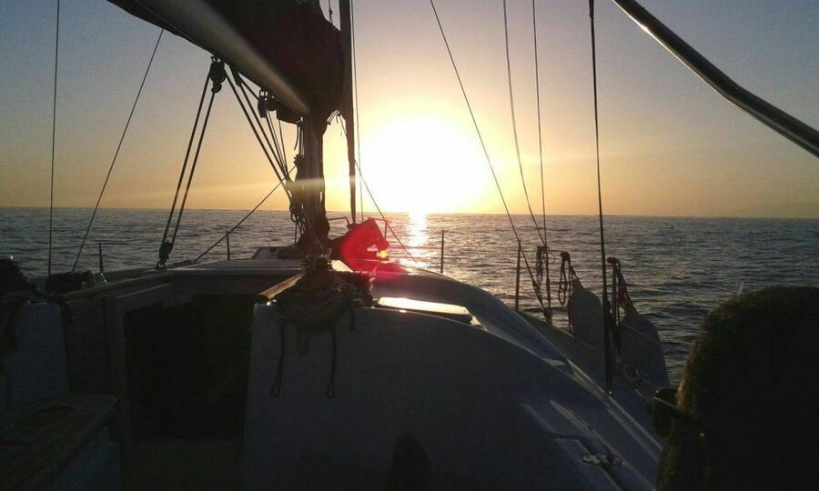 Tenerife: Private or Group 3 Hour Sailing Cruise with Drinks - Searching for dolphins, whales, and turtles