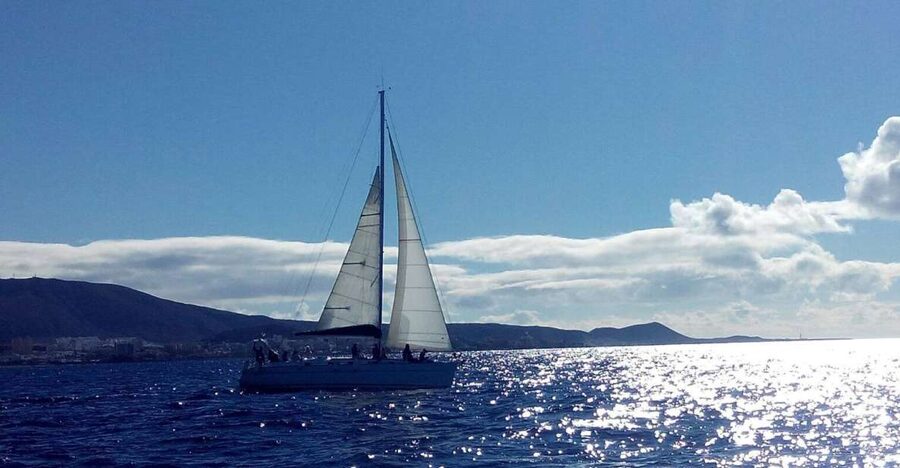 Tenerife: Private or Group 3 Hour Sailing Cruise with Drinks - The private or group question