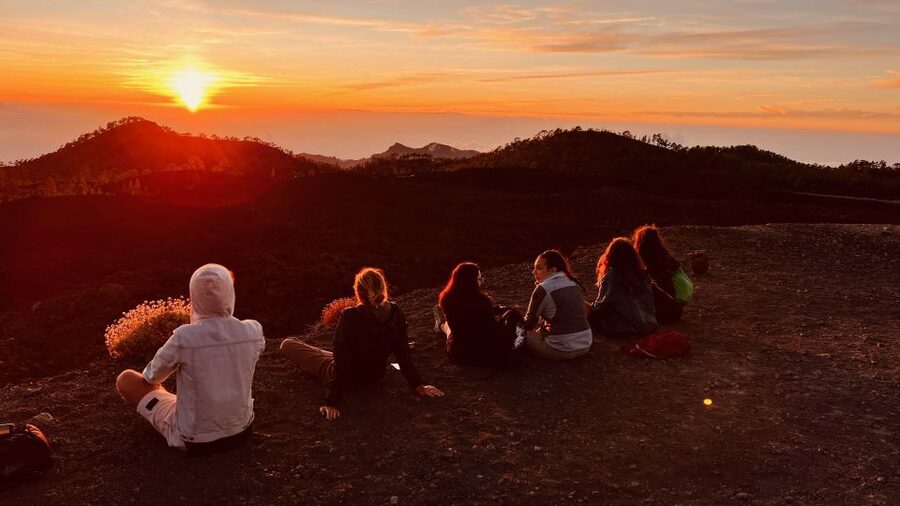 Tenerife: Private VIP Tour Teide National Park - Sea of clouds, lava flows, and island views