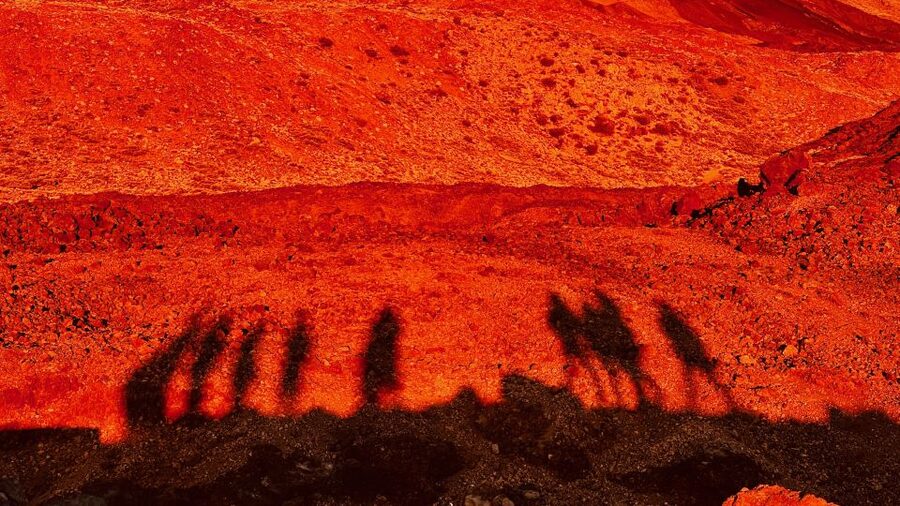 Tenerife: Private VIP Tour Teide National Park - What the private vehicle changes