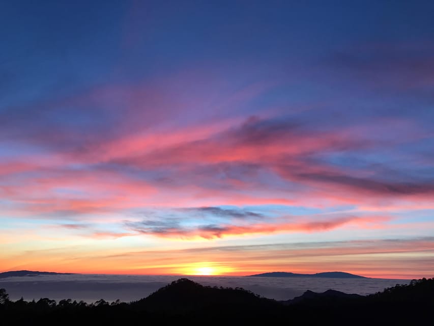 Tenerife: Private VIP Tour Teide National Park - Who gets the most value from this Teide tour
