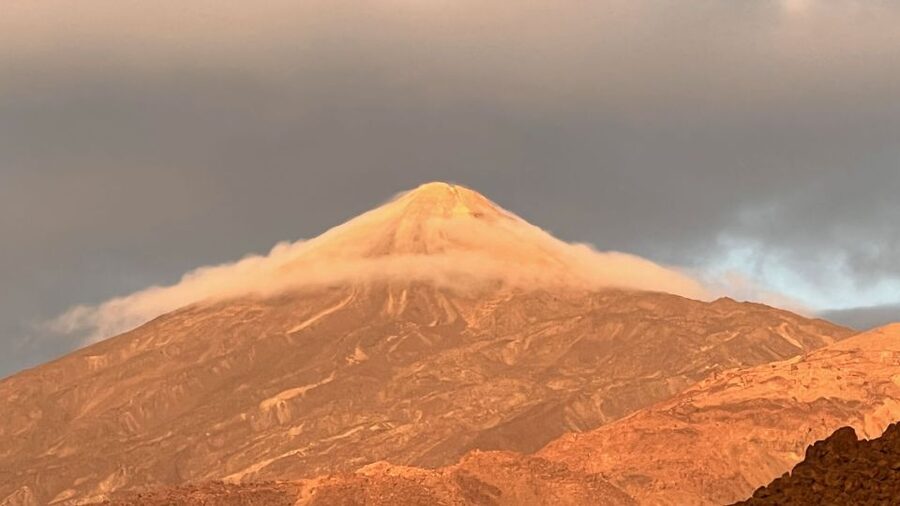 Tenerife: Private VIP Tour Teide National Park - Climbing through Vilaflor and the Corona Forestal