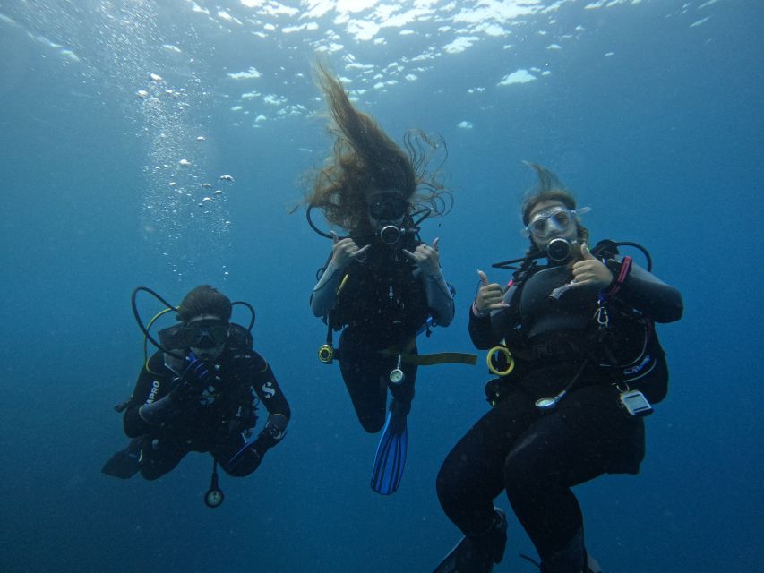 Tenerife: Puerto Colon Certified Scuba Dive by Speed Boat - Key points to know before booking