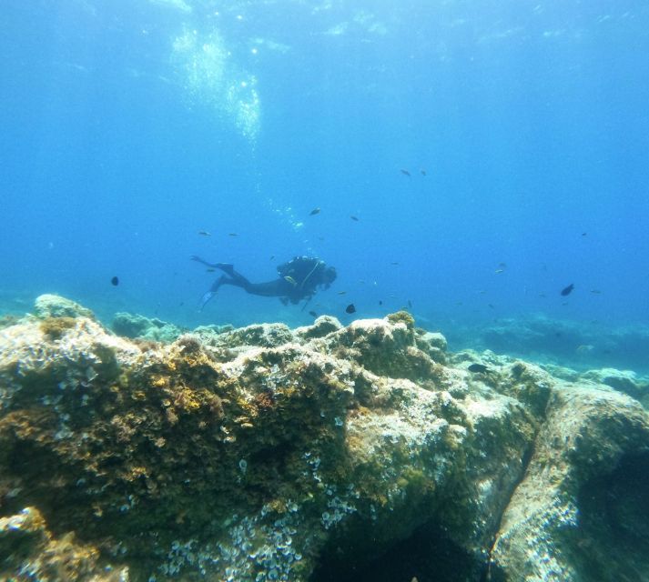 Tenerife: Puerto Colon Certified Scuba Dive by Speed Boat - Returning to the center and washing the gear