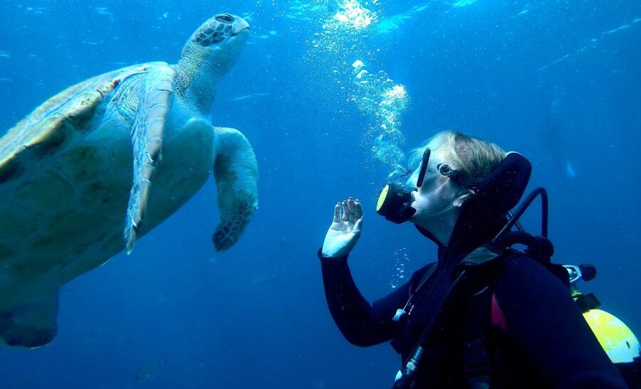 Tenerife: Puerto Colon Discover Scuba Diving Trip - The 15-minute speedboat ride