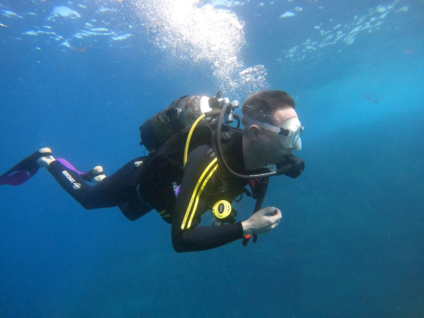 Tenerife: Puerto Colon Discover Scuba Diving Trip - Forty minutes exploring Tenerife’s coastal water