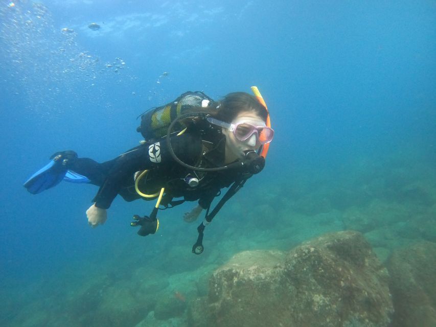 Tenerife: Puerto Colon Discover Scuba Diving Trip - What the PADI DSD certificate means