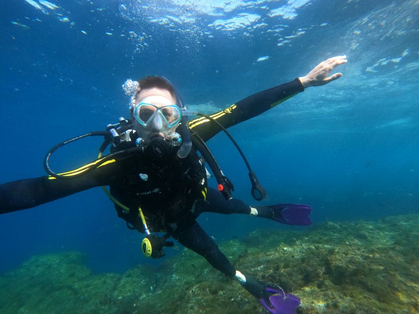 Tenerife: Puerto Colon Discover Scuba Diving Trip - What the $113 price covers