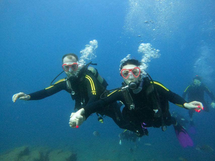 Tenerife: Puerto Colon Discover Scuba Diving Trip - Who will enjoy this most