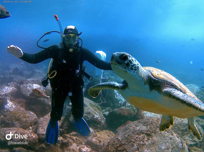 Tenerife: Puerto Colon Discover Scuba Diving Trip - Finding Travel Sub Dive Center at Puerto Colón