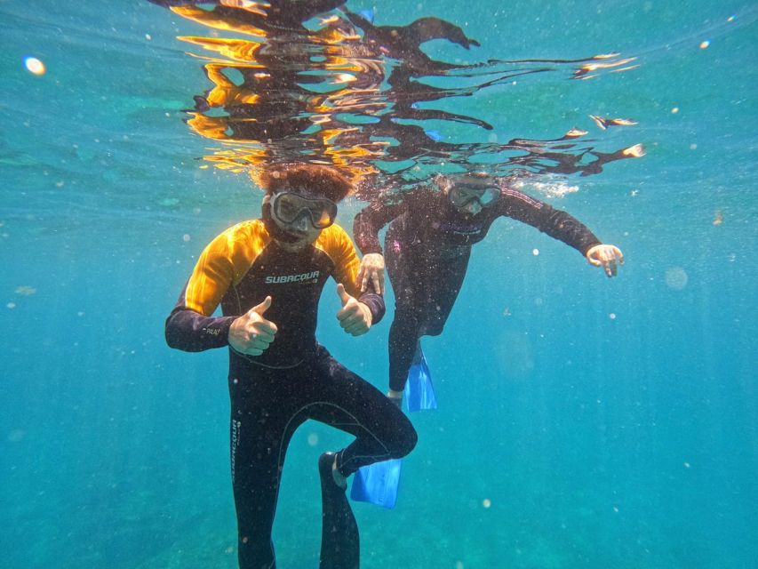 Tenerife: Puerto Colon Snorkel Safari by Speed Boat - Starting at Puerto Colón with the right expectations