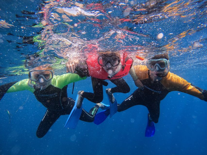 Tenerife: Puerto Colon Snorkel Safari by Speed Boat - Equipment and instruction: the practical weak spot