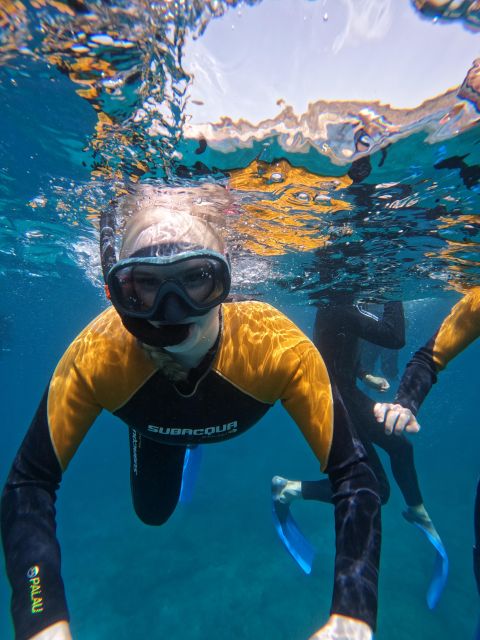 Tenerife: Puerto Colon Snorkel Safari by Speed Boat - Conditions can change the plan