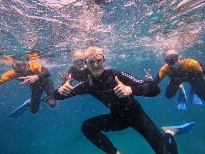 Tenerife: Puerto Colon Snorkel Safari by Speed Boat - The 15-minute ride along Tenerife’s southern coast