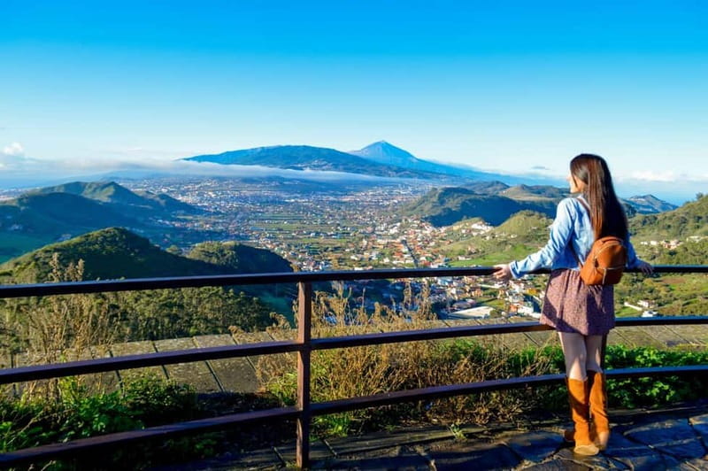 Tenerife-Puerto Cruz: Avatar Hiking, Punta Hidalgo +Cocktail - Small-group transport makes the winding route easier