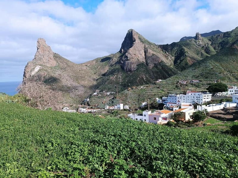 Tenerife-Puerto Cruz: Avatar Hiking, Punta Hidalgo +Cocktail - Why this day works for seeing northern Tenerife