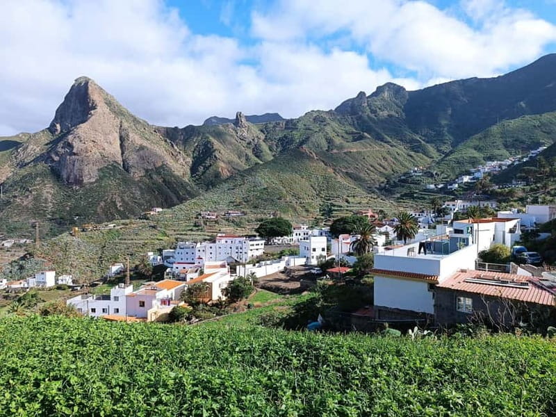 Tenerife-Puerto Cruz: Avatar Hiking, Punta Hidalgo +Cocktail - Walking the one-hour Sendero de los Sentidos