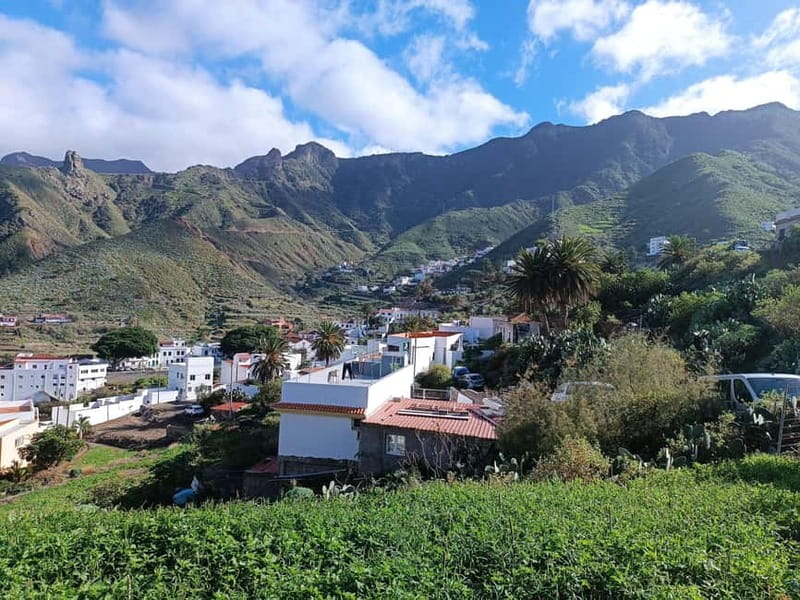 Tenerife-Puerto Cruz: Avatar Hiking, Punta Hidalgo +Cocktail - Punta del Hidalgo brings the sea into the day