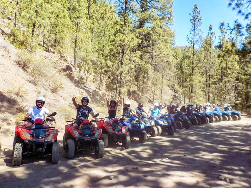 Tenerife: Quad Adventure Tour in Teide National Park - Should you book the Teide quad tour?