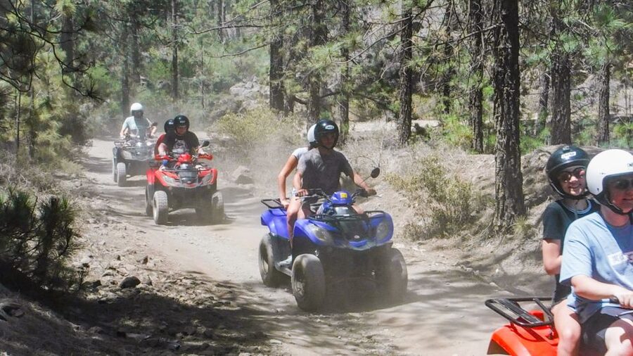 Tenerife: Quad Adventure Tour in Teide National Park - Who will enjoy this most?