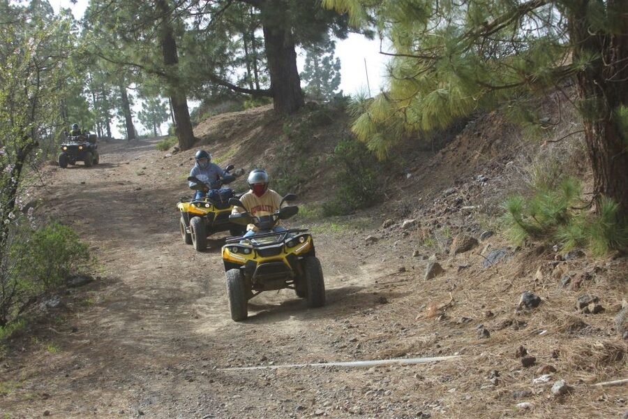 Tenerife: Quad Bike Off-Road Adventure - Who should book this Arona quad tour?