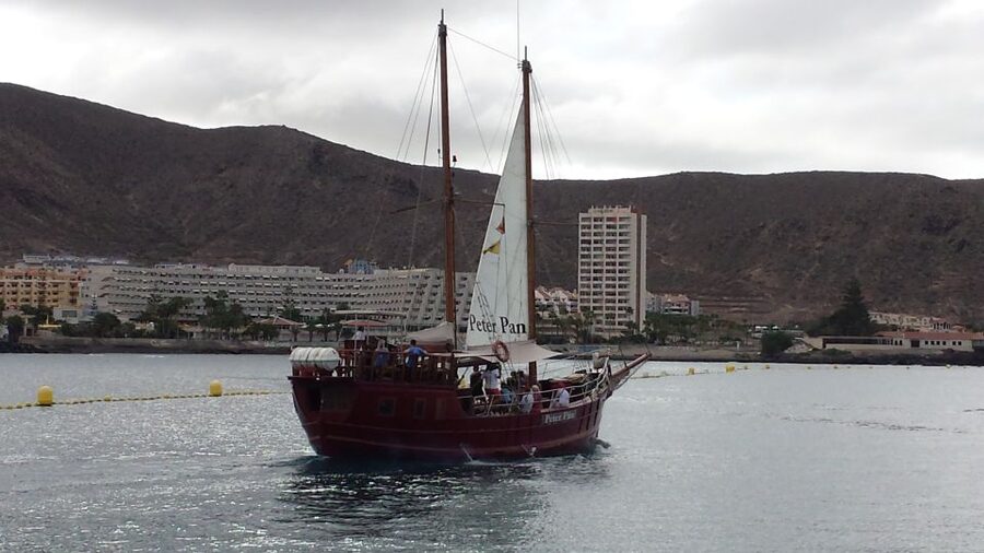 Tenerife:Respectful Whale Watching, Pirate Ship, & Swim - Key points to know before you book