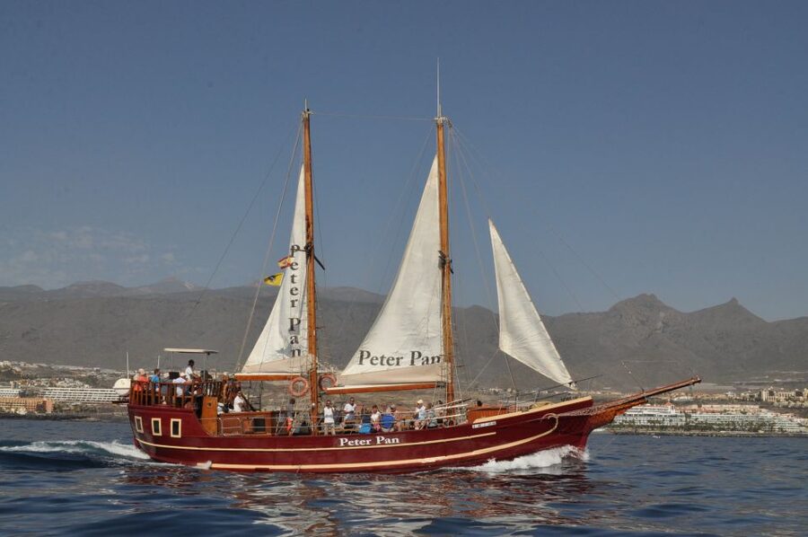 Tenerife:Respectful Whale Watching, Pirate Ship, & Swim - What to pack for the Peter Pan
