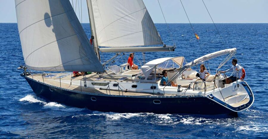 Tenerife: Sailing Excursion with Whale and Dolphin Watching - Why Tenerife’s South Coast Is Good Whale Country