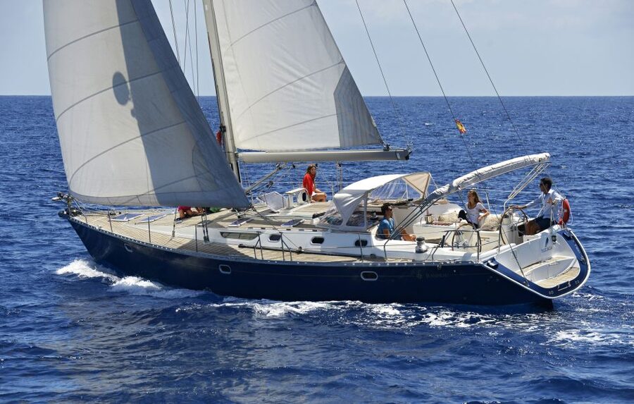 Tenerife: Sailing Excursion with Whale and Dolphin Watching - Watching Pilot Whales Without a Noisy Chase