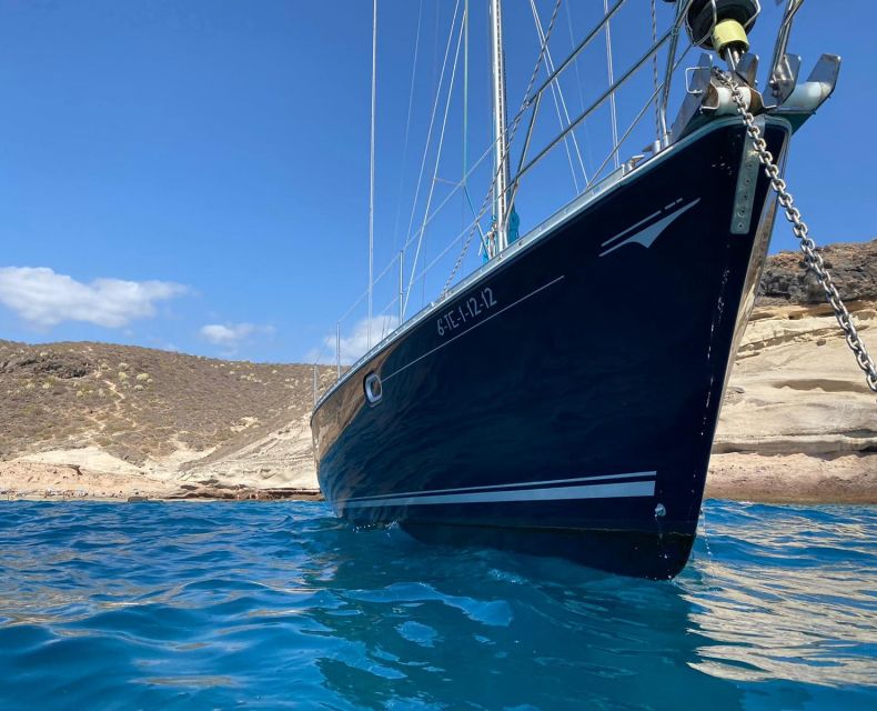 Tenerife: Sailing Excursion with Whale and Dolphin Watching - Should You Book This Tenerife Sailing Trip?