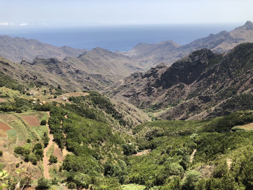 Tenerife: Santa Cruz, La Laguna and Anaga Tour - Who gets the best value at $61?