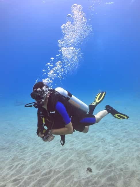 Tenerife: Scuba Dive & Fun, Discover the Magic of the Ocean - Playa Las Vistas and the short route to shore