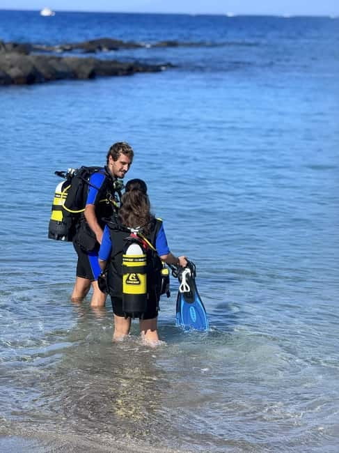 Tenerife: Scuba Dive & Fun, Discover the Magic of the Ocean - Marine life, rock formations, and what you may see