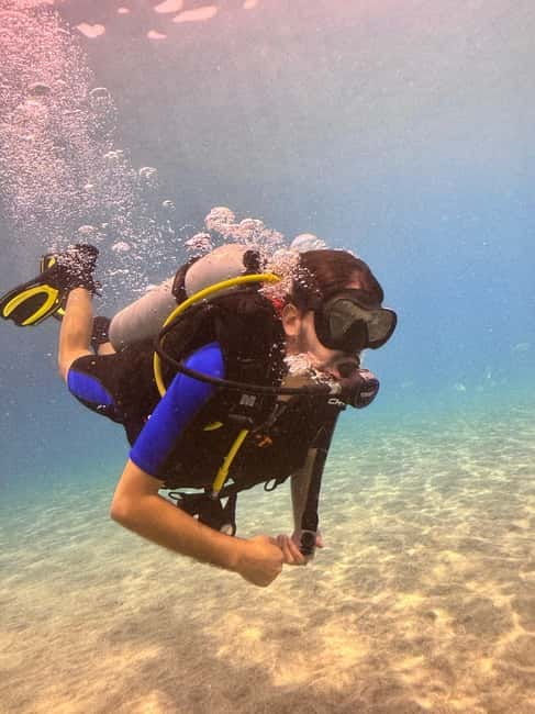 Tenerife: Scuba Dive & Fun, Discover the Magic of the Ocean - Returning to the center and collecting your certificate
