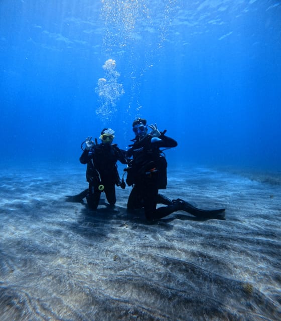 Tenerife: Scuba Diving Experience for Every Level - Who will enjoy this most