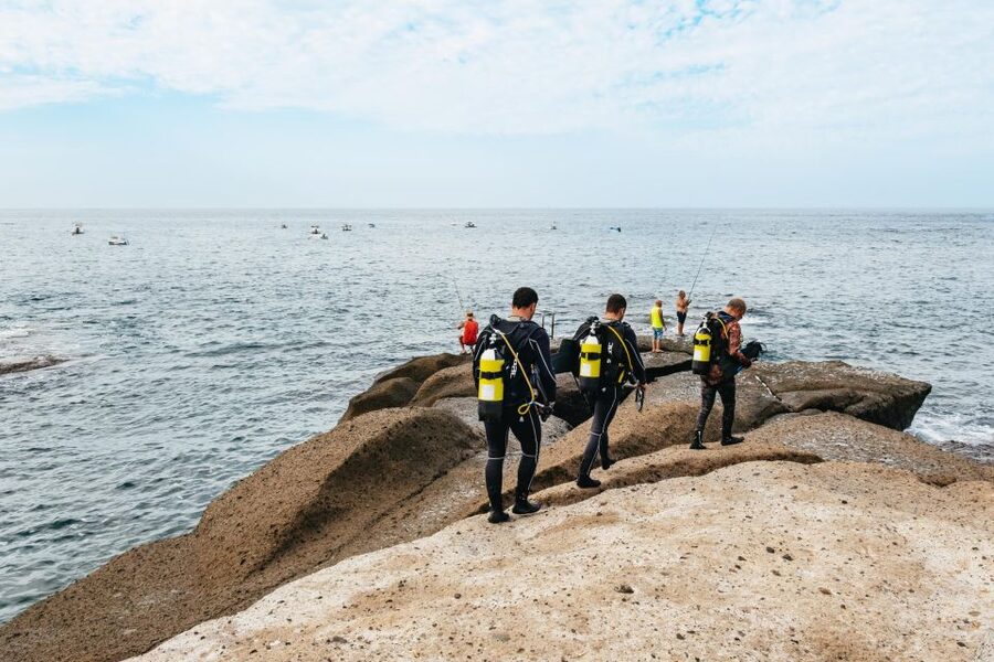 Tenerife: Scuba Diving Experience with Instructor and Gear - A first look beneath Tenerife’s coast