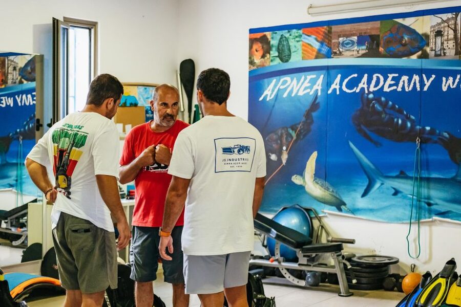 Tenerife: Scuba Diving Experience with Instructor and Gear - Fish, plants, and the feel of the coast