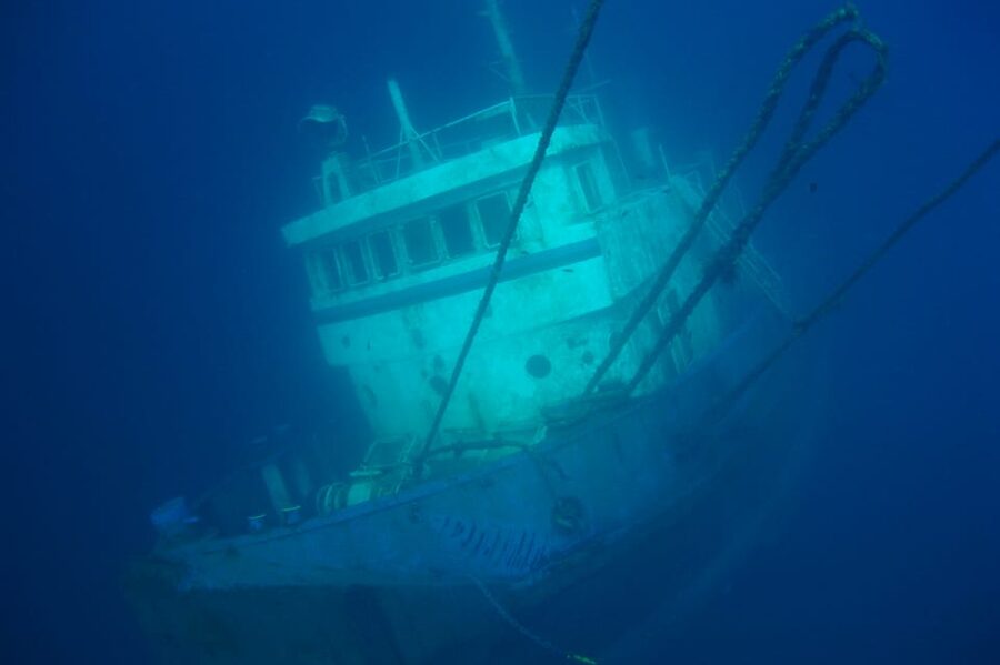 Tenerife Scuba Diving for Certified Divers - Why Abades is a smart starting point