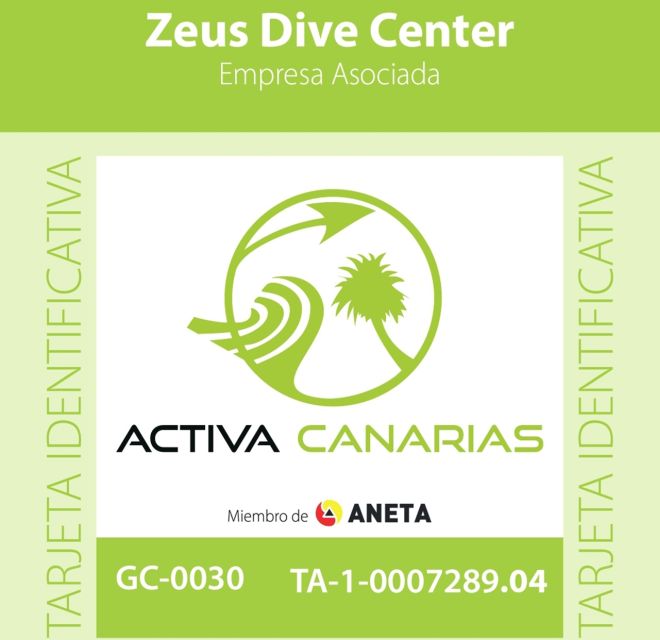 Tenerife Scuba Diving for Certified Divers - The underwater scenery and possible sightings