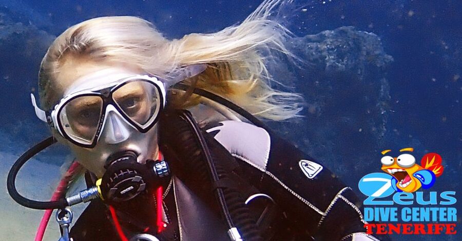 Tenerife Scuba Diving for Certified Divers - Who will enjoy this outing most