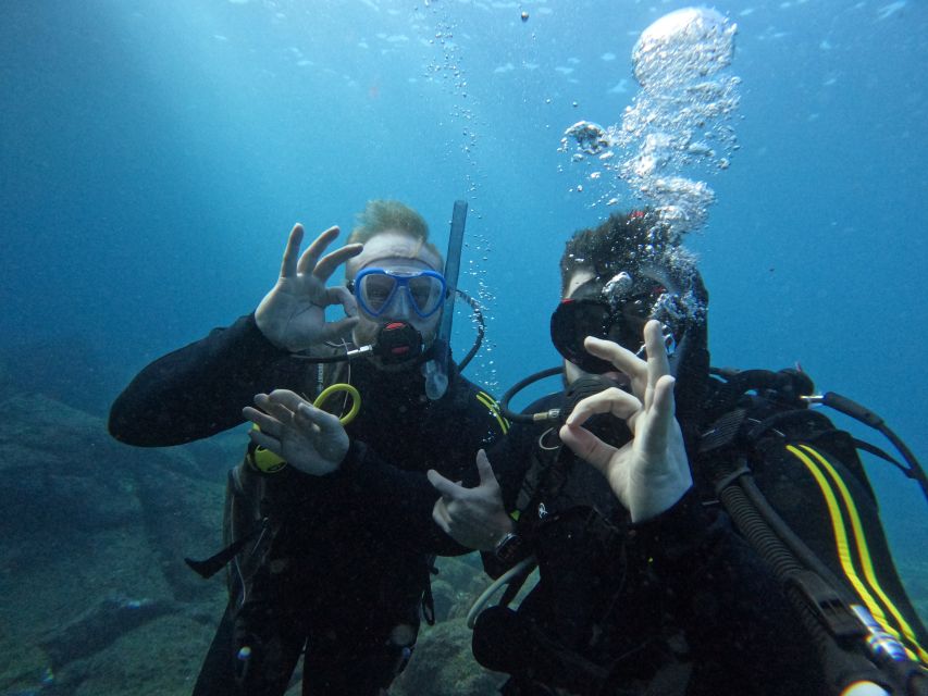 Tenerife: Scuba Diving for Certified Divers in Tenerife - Starting at Puerto Colón with Travel Sub