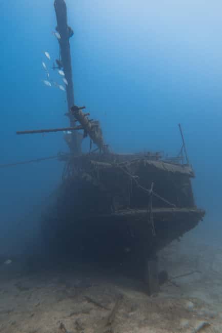 Tenerife: Scuba Diving for Certified Divers in Tenerife - Returning by boat after the session