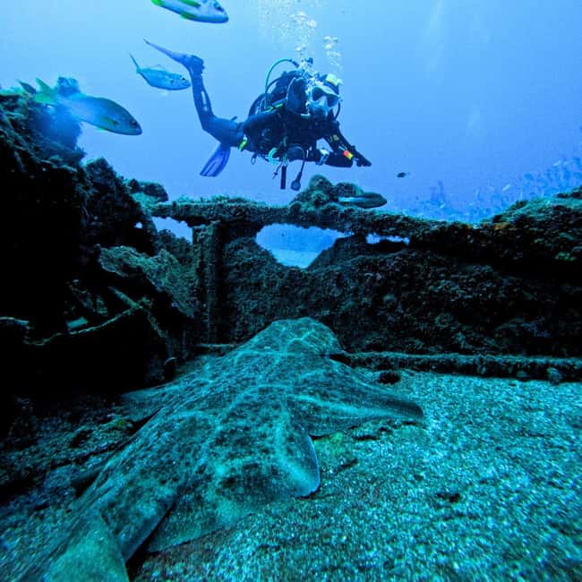 Tenerife: Scuba Diving for Certified Divers in Tenerife - What the $63 price includes
