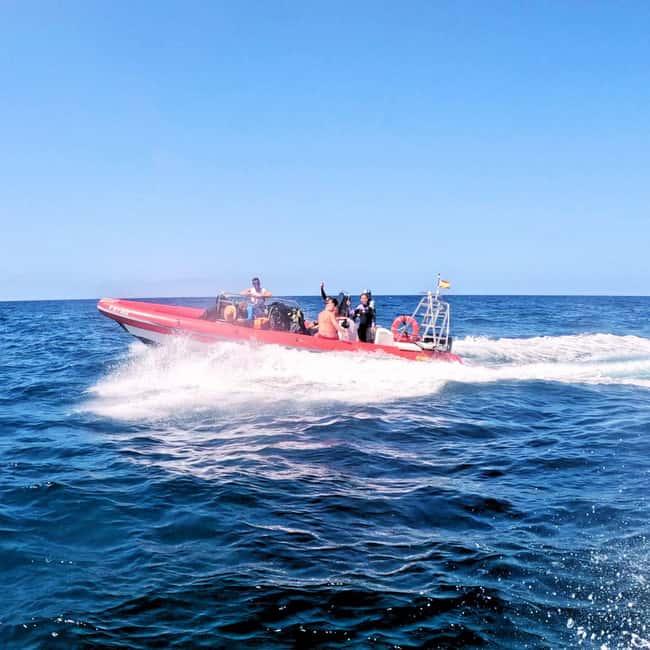 Tenerife: Scuba Diving for Certified Divers in Tenerife - Who will get the most from this outing