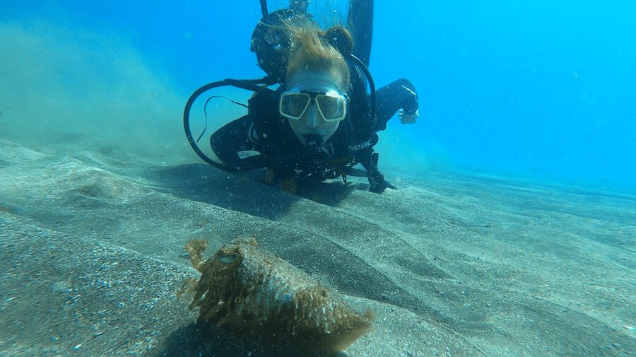 Tenerife: Scuba Diving Lesson and Abades Protected Area Dive - The first 30 minutes: learning before entering the water