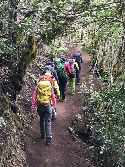 Tenerife: Senderismo Anaga, Bosque Mágico, Reserva Biosfera - Key points to know before booking