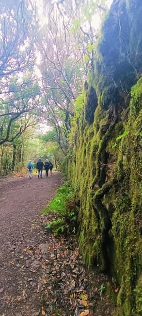Tenerife: Senderismo Anaga, Bosque Mágico, Reserva Biosfera - What the 5.5-hour experience actually includes