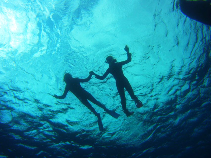 Tenerife: Snorkel with Turtles - Equipment, cold water, and comfort