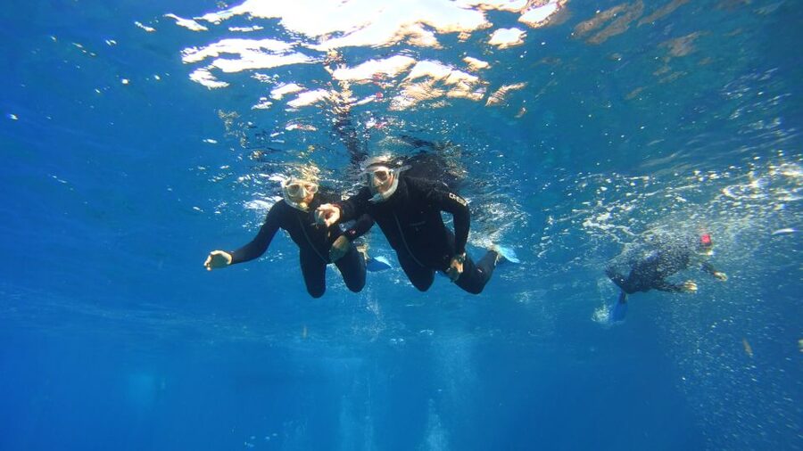Tenerife: Snorkel with Turtles - What the photos include
